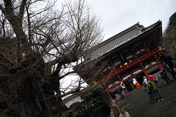 202 10 DSC_6439.jpg
